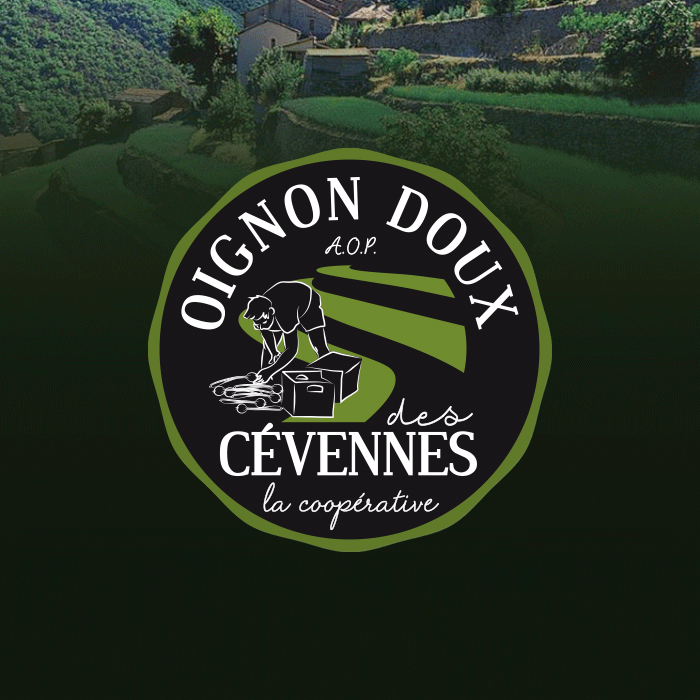 Oignon doux des Cévennes Oignon doux des Cévennes