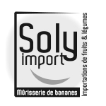 Plan de travail 1 copie 12