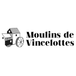 Plan de travail 1 copie 15