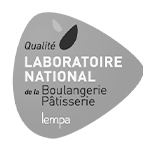 Plan de travail 1 copie 5-2