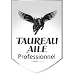 Plan de travail 1 copie 7-5