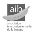 aib_NB